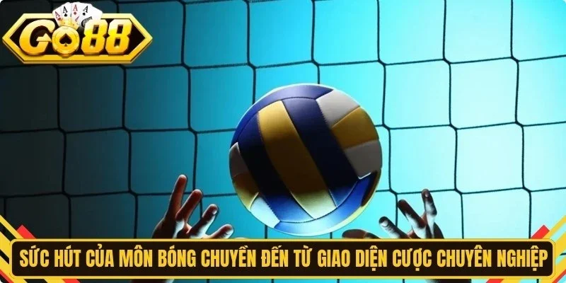 Sức hút của môn bóng chuyền đến từ giao diện cược chuyên nghiệp